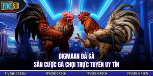 Digmaan Đá Gà